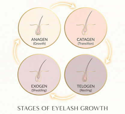 Lash & Brow Boost Serum